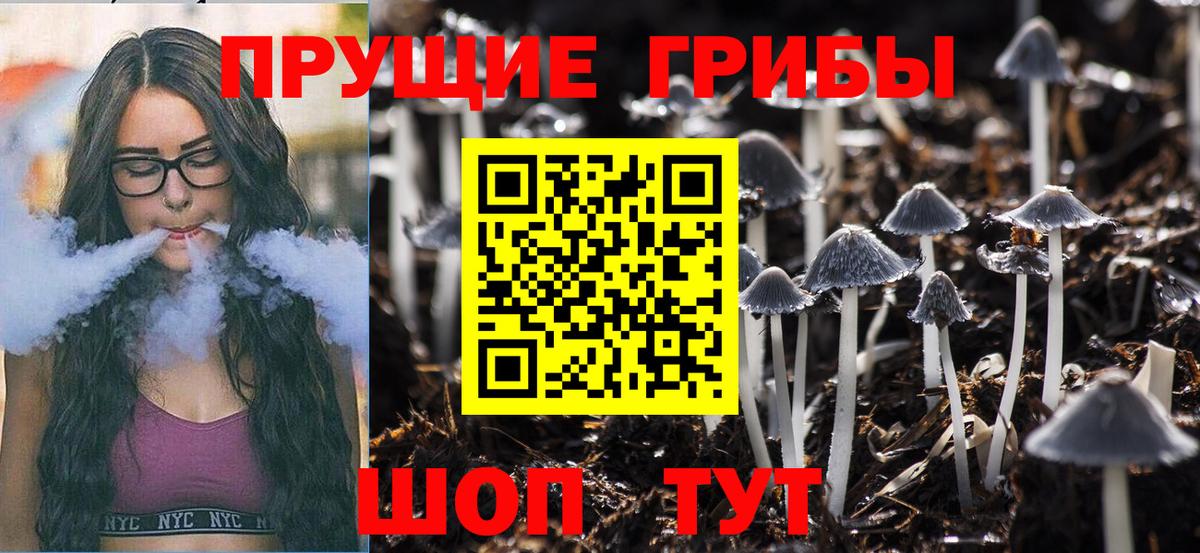 хочу   Вход с VPN  Галлюциногенные грибы Psilocybine cubensis  Гулькевичи  Галлюциногенные грибы GOLDEN TEACHER 