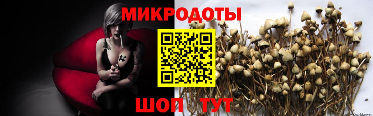 Псилоцибиновые грибы GOLDEN TEACHER Гулькевичи